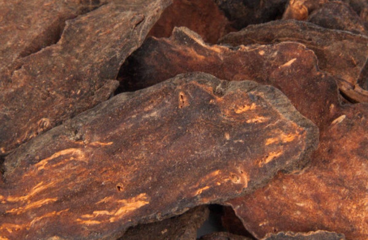 Fo-Ti (Polygonum multiflorum): Geleneksel Kullanım ve Bilimsel Perspektif
