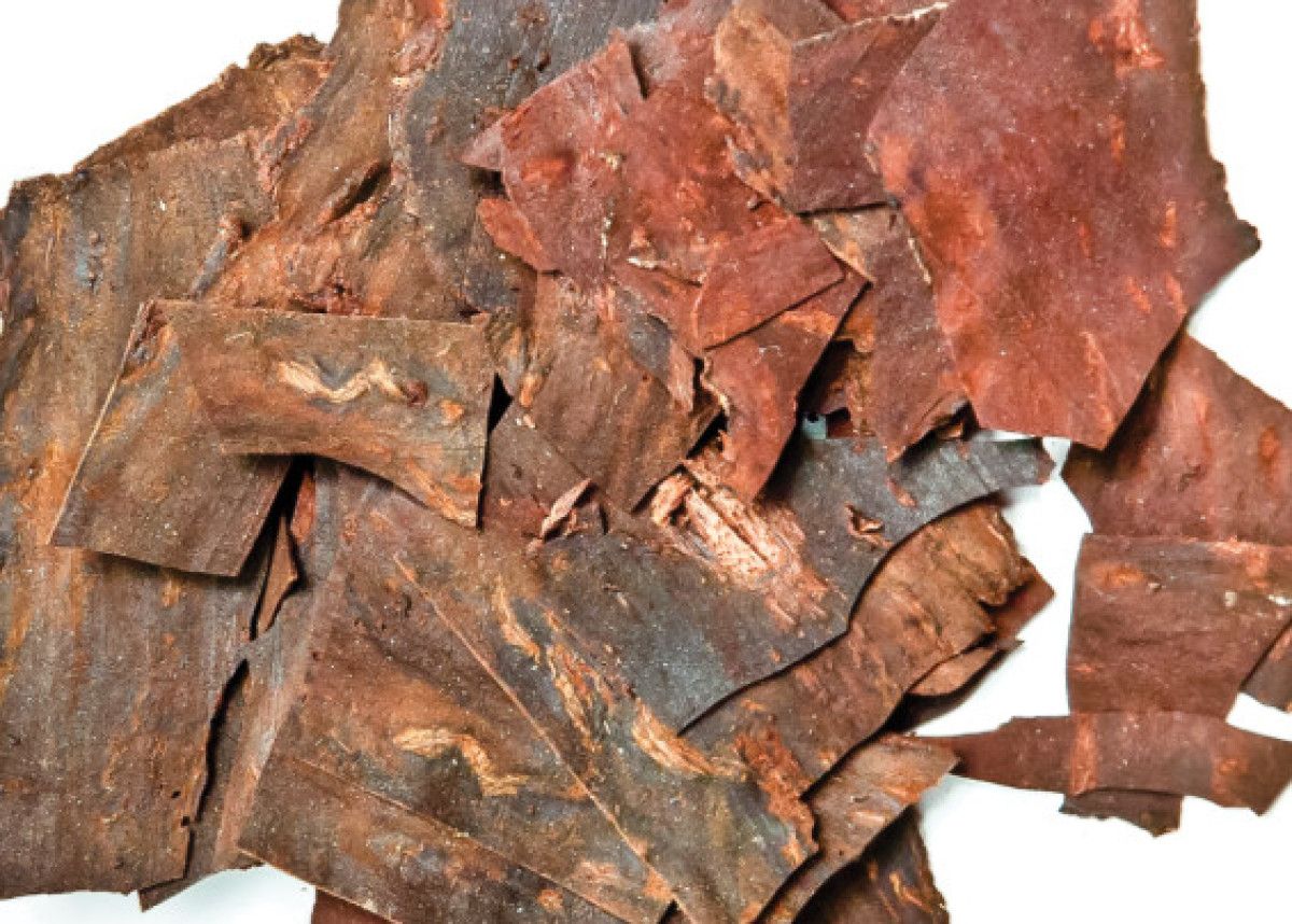 Fo-Ti (Polygonum multiflorum): Geleneksel Kullanım ve Bilimsel Perspektif