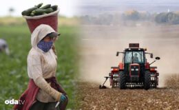 Tarımda Yaşanan Yüklü Borçlar ve İcraya Giden Çiftçiler: Bölgesel Dağılım ve Geçmiş Aylarla Karşılaştırma