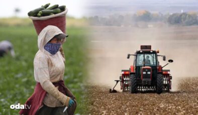 Tarımda Yaşanan Yüklü Borçlar ve İcraya Giden Çiftçiler: Bölgesel Dağılım ve Geçmiş Aylarla Karşılaştırma