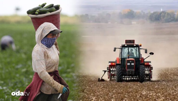 Tarımda Yaşanan Yüklü Borçlar ve İcraya Giden Çiftçiler: Bölgesel Dağılım ve Geçmiş Aylarla Karşılaştırma