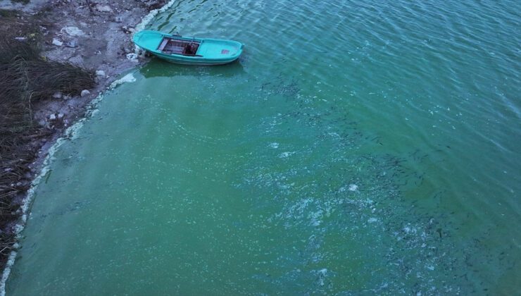 Terkos Barajı’nda Renk Değişimi ve Köpükler: Suyun Yeni Görünümü