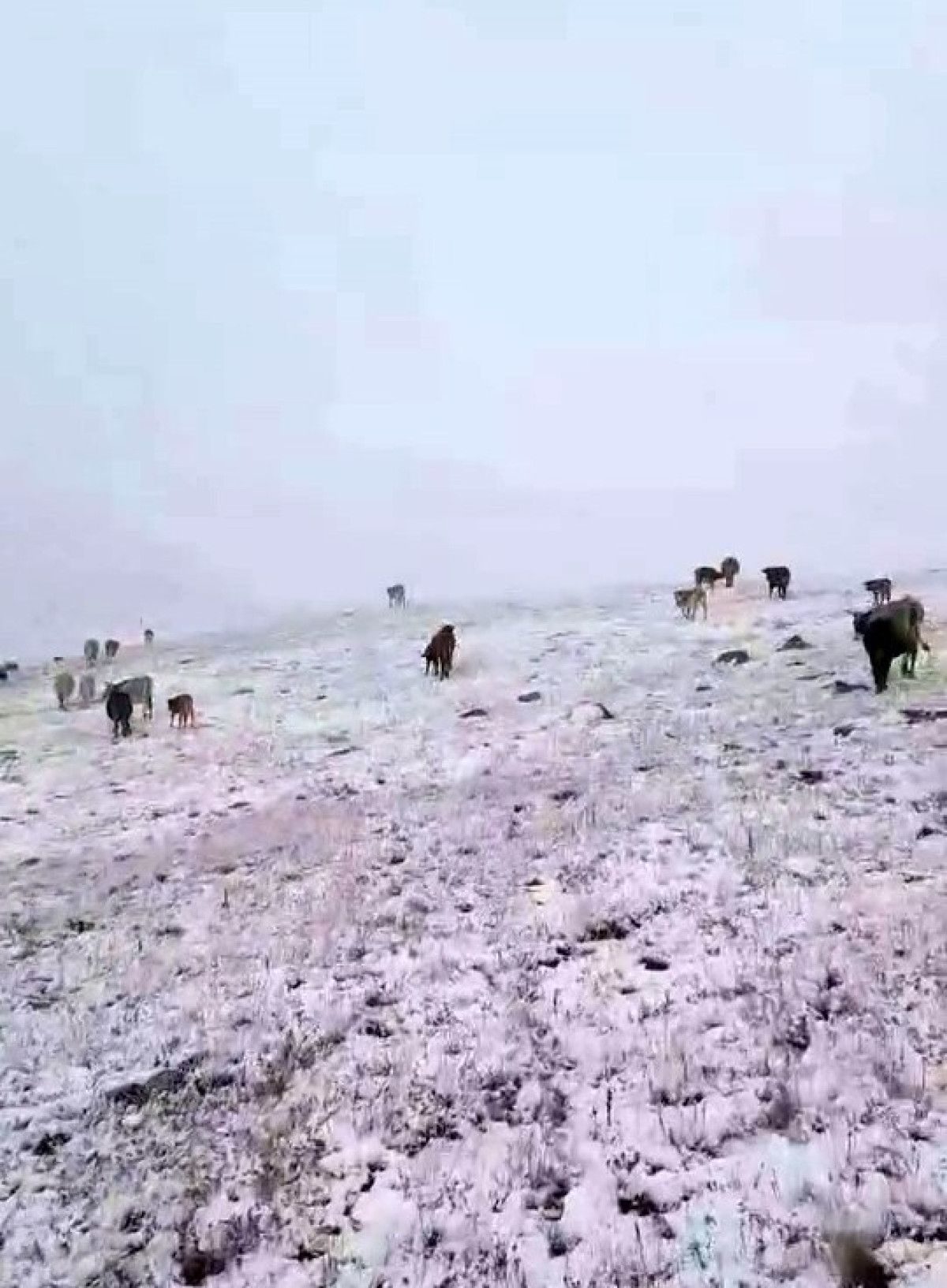 Yedigöller'de İlk Kar İzleri: Doğaseverler Kışı Erken Hissediyor